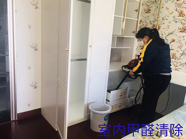 室內(nèi)甲醛清除